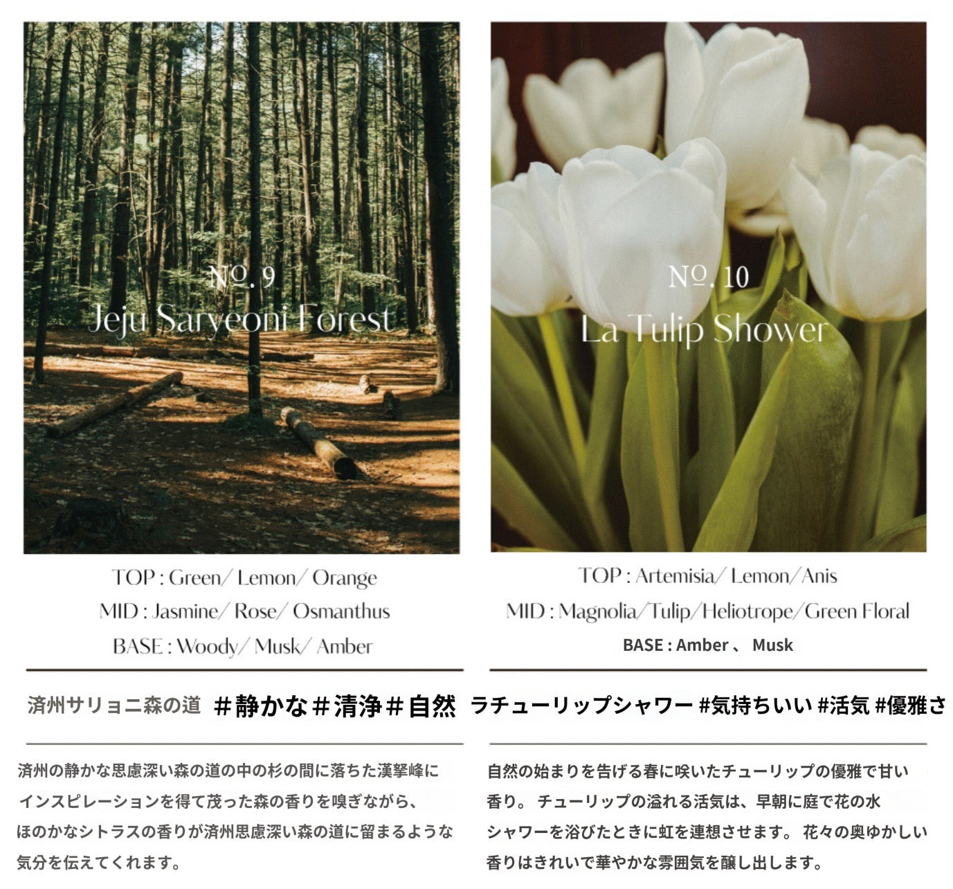 車用ディフューザー 77ML set | HETRAS