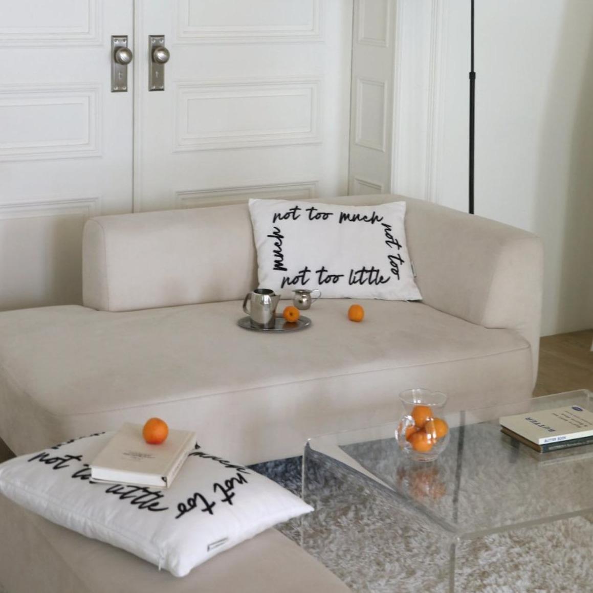 TOO TOO cushion case
