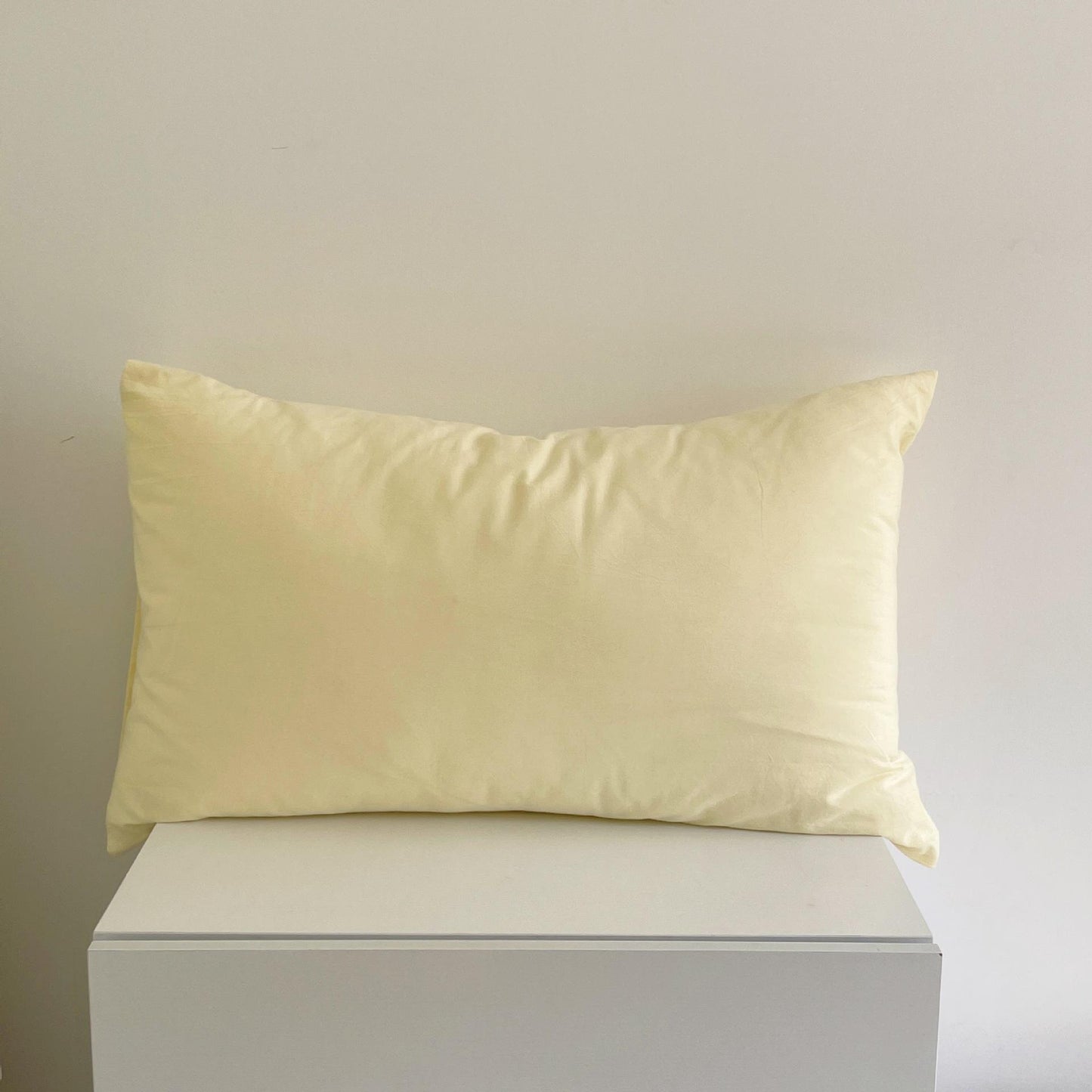 2ピースセット butter pillow case