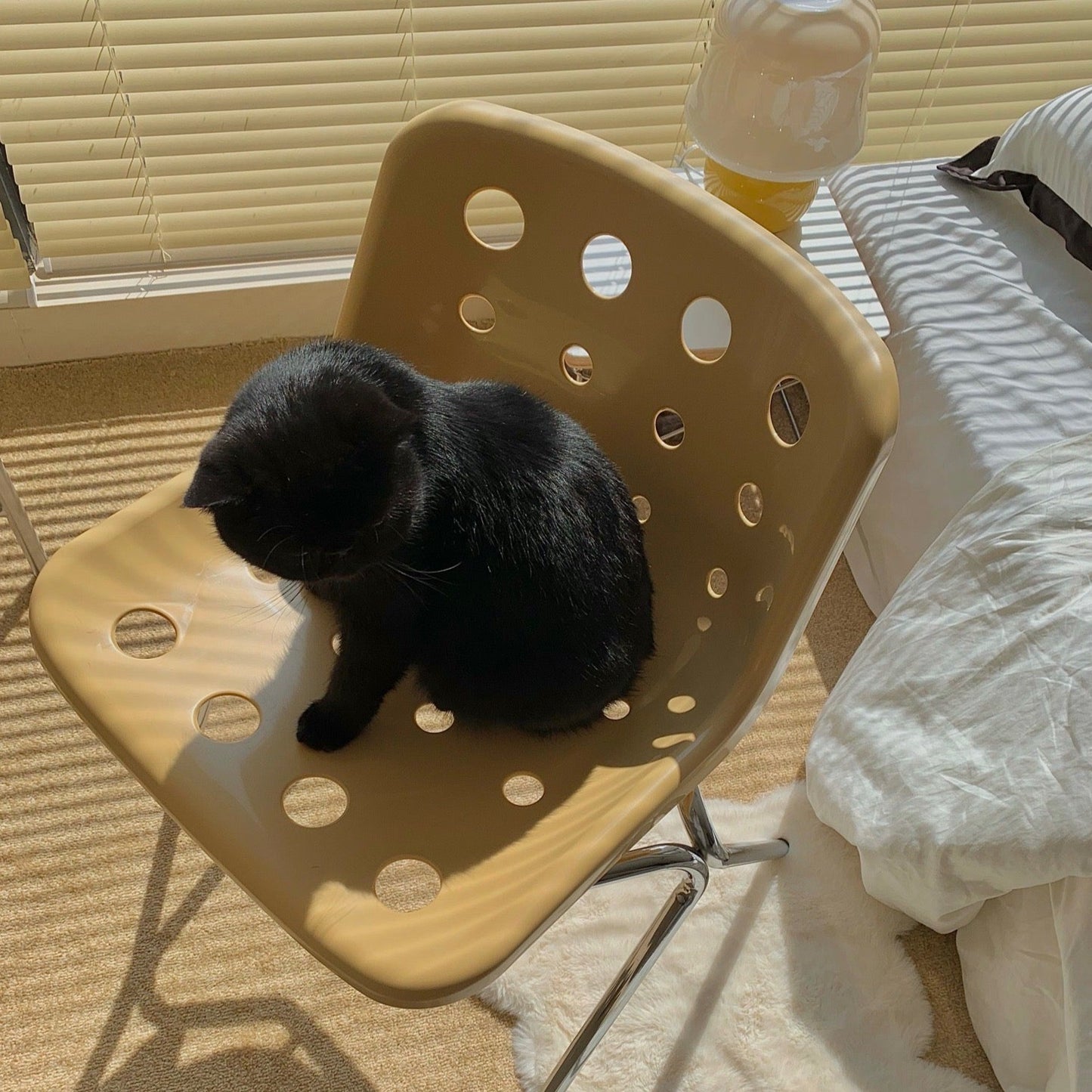 黄色い椅子と黒い猫