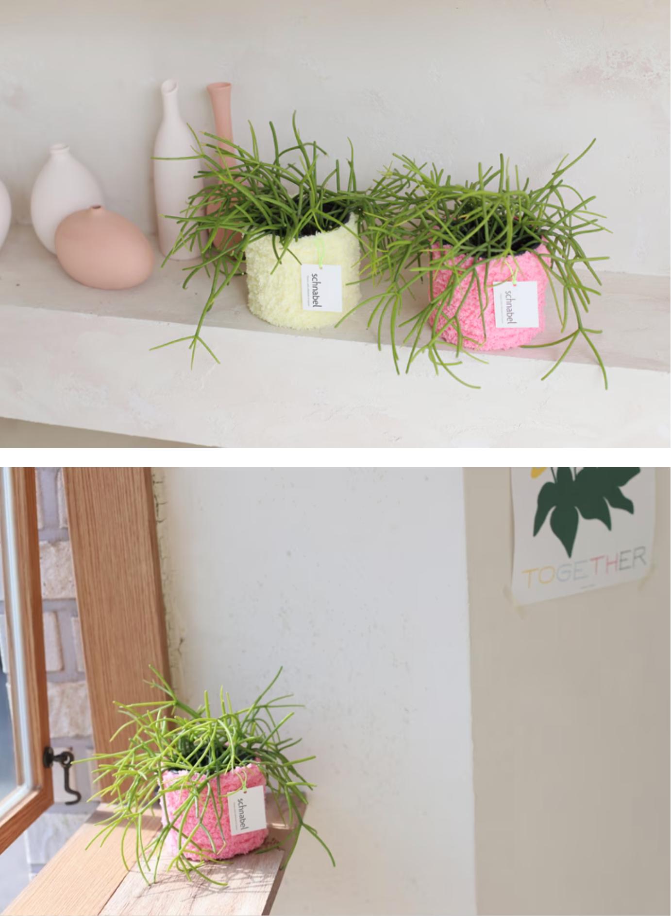 全18色 ミニ 鉢カバー | mini flower pot case